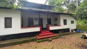 Bachelor's Tharavaadu